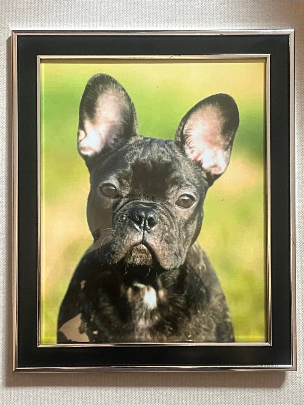 Hand Crafted Framed Dog Wall Art 9”x11”